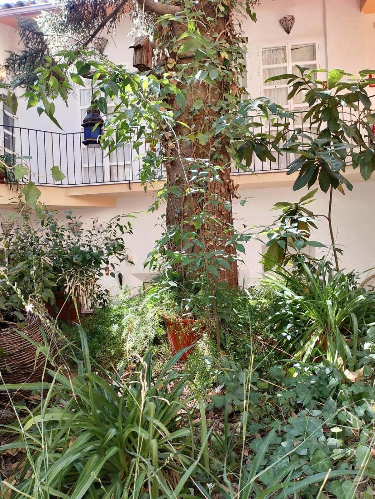 Casa Rural Plaza De Santa Maria Касорла Екстер'єр фото