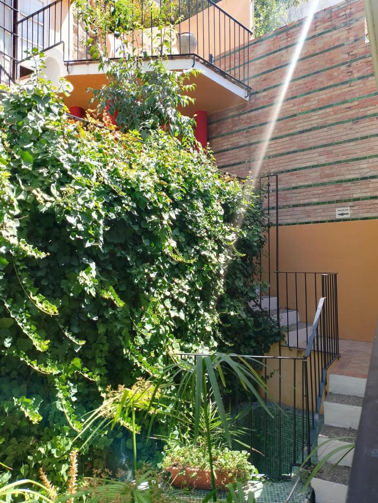 Casa Rural Plaza De Santa Maria Касорла Екстер'єр фото